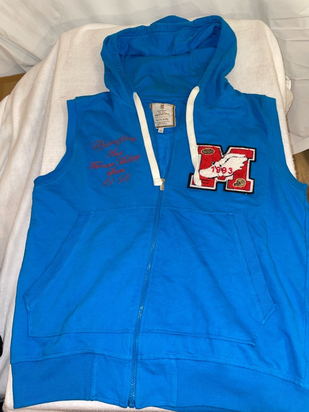 Bright Blue Sleeveless Zip-Up Hoodie with Hood
